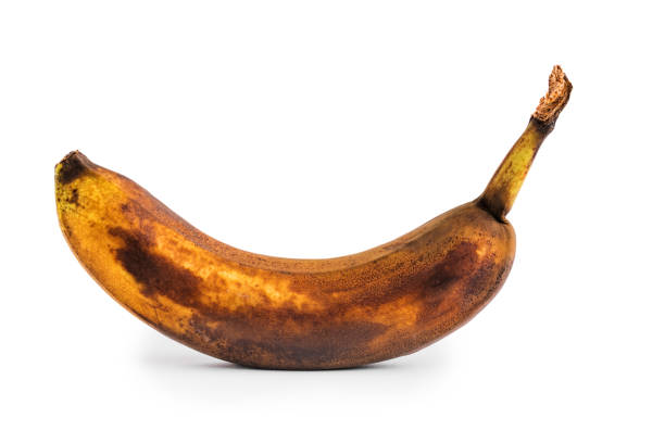 잘 익은 노란색 바나나, 과일, 흰색 배경에 어두운 반점이있는 잘 익은 바나나. - banana rotting ripe above 뉴스 사진 이미지