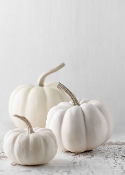 istock Autumn still life with tree small white pumpkins on light rustic background. 1352808783