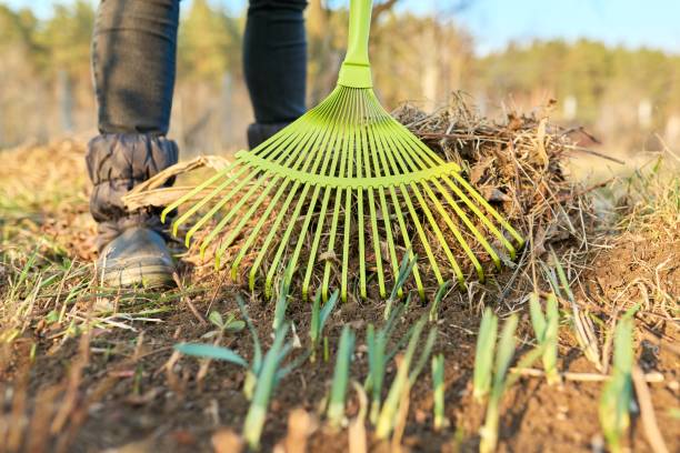 istock Spring seasonal gardening, rake cleaning backyard close-up. 1352809627