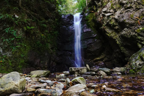 istock little waterfall over a rockface in a dark forest while hiking 1352811684