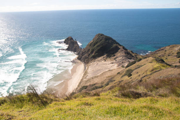 istock View from Cape Reinga looking down at the pohutukawa tree 1352818883