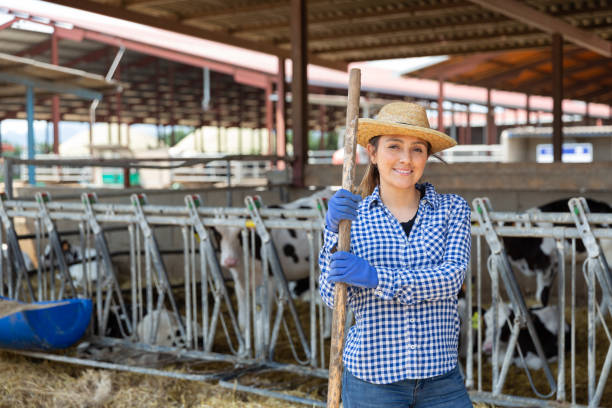 istock Smiling female proffesional farmer standing near cows 1352818913