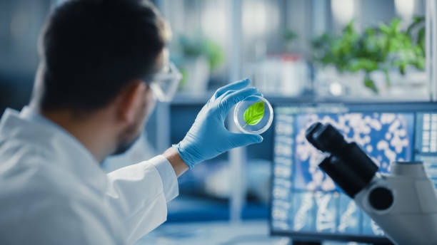 istock Handsome Male Microbiologist Looking at a Healthy Green Leaf Sample. Medical Scientist Working in a Modern Food Science Laboratory with Advanced Technology Microscopes and Computers. 1352820221