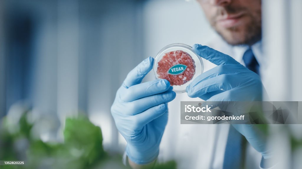 Microbiologist Holding Lab-Grown Cultured Vegan Meat Sample. Medical Scientist Working on Plant-Based Beef Substitute for Vegetarians in a Modern Food Science Laboratory. Meat Stock Photo