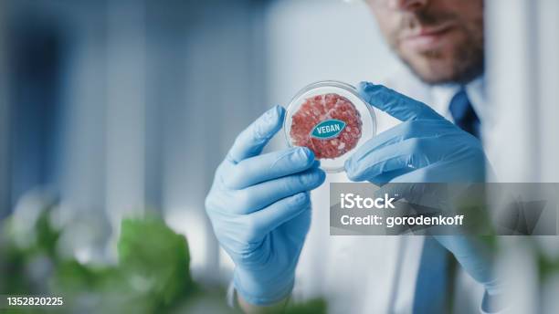 Microbiologist Holding Labgrown Cultured Vegan Meat Sample Medical Scientist Working On Plantbased Beef Substitute For Vegetarians In A Modern Food Science Laboratory Stock Photo - Download Image Now