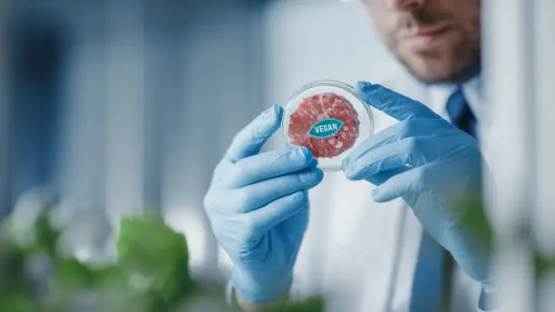Photo of Microbiologist Holding Lab-Grown Cultured Vegan Meat Sample. Medical Scientist Working on Plant-Based Beef Substitute for Vegetarians in a Modern Food Science Laboratory.