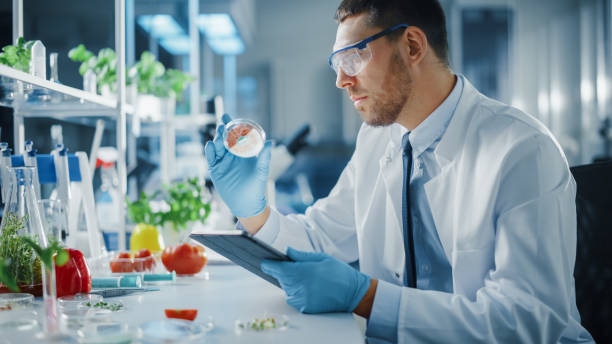 istock Male Microbiologist Working on Tablet Computer and Examining a Lab-Grown Vegan Meat Sample. Medical Scientist Working on Plant-Based Beef Substitute for Vegetarians in Modern Food Science Laboratory. 1352820256