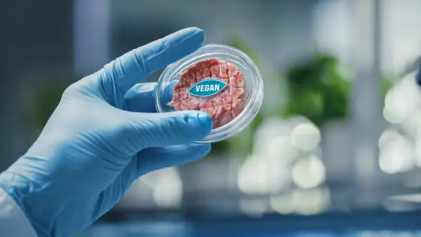 Photo of Close up Shot of a Lab-Grown Cultured Vegan Meat Sample Held by the Scientist in Blue Glove. Medical Scientist Working on Plant-Based Beef Substitute for Vegetarians in Modern Food Science Laboratory.