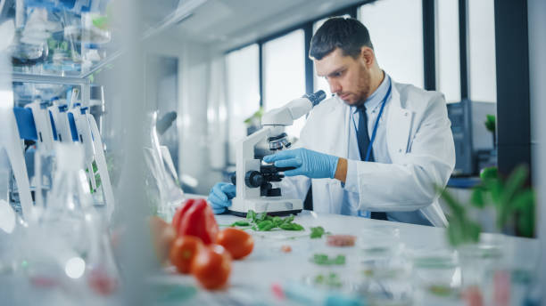 istock Male Microbiologist Puts Lab-Grown Cultured Vegan Meat Sample under Microscope for Analysis. Medical Scientist Working on Plant-Based Beef Substitute for Vegetarians in Modern Food Science Laboratory. 1352820281