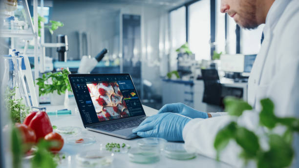 istock Male Scientist Working on a Laptop Computer with Display Showing Gene Editing Interface. Microbiologist is Rubber Gloves in a Bright Modern Food Laboratory with Advanced Technological Equipment. 1352820289