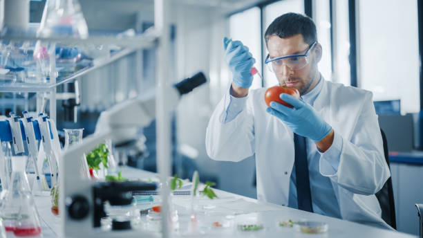 istock Male Microbiologist in Safety Glasses Adding Biological Nutritional Supplement, Vitamins and Minerals from a Syringe to a Tomato. Medical Scientist Working in a Modern Food Science Laboratory. 1352820290