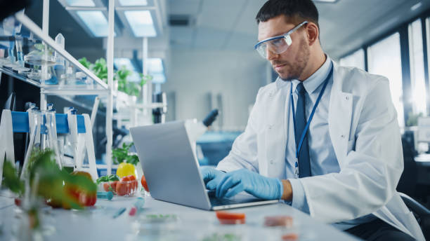 istock Male Scientist Working on a Laptop Computer, Creating Lab-Grown Food for Vegetarians. Microbiologist Working on Molecule Samples in Modern Laboratory with Technological Equipment. 1352820298