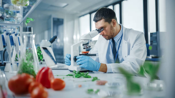gutaussehender männlicher wissenschaftler mit schutzbrille, der eine im labor gezüchtete tomate durch ein fortschrittliches mikroskop analysiert. mikrobiologe, der an molekülproben in einem modernen labor mit technologischer ausstattung arbeitet. - tomato genetic modification biotechnology green stock-fotos und bilder