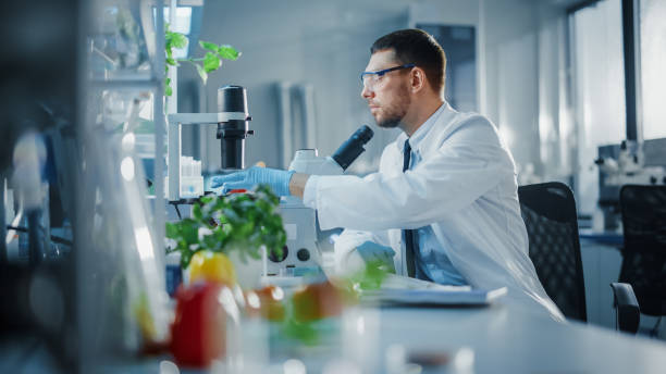 apuesto científico masculino con gafas de seguridad colocando tomate cultivado en laboratorio bajo microscopio avanzado para su análisis. microbiólogo trabajando en muestras de moléculas en laboratorio moderno con equipos tecnológicos. - tomato genetic modification biotechnology green fotografías e imágenes de stock