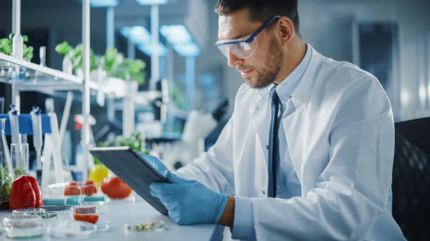 istock Male Microbiologist Working on Digital Tablet Computer and Creating Lab-Grown Vegetables. Microbiologist Working on Molecule Samples in Modern Laboratory with Technological Equipment. 1352820328