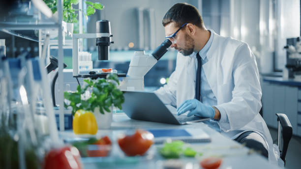 istock Male Scientist Working on a Laptop Computer and Analyzing a Lab-Grown Tomato Through a Microscope. Microbiologist Working on Molecule Samples in Modern Laboratory with Technological Equipment. 1352820329