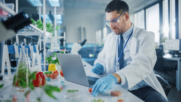 istock Male Scientist Working on a Laptop Computer and Picking up a Half-Cut Lab-Grown Tomato in a Dish. Microbiologist Working on Molecule Samples in Modern Laboratory with Technological Equipment. 1352820339