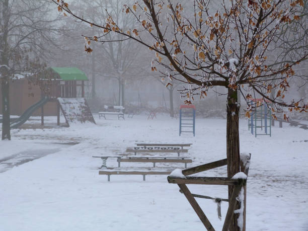 empty snow covered playground with blue steel climber equipment in the winter under fog. blurry background. bare leafless tree in foreground.  snowy park. winter and outdoors. no people.