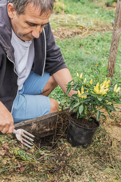 istock Spring work in the garden for planting plants in the ground 1352820841