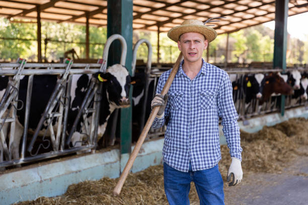 istock Male farmer posing at cowshed on farm 1352821857