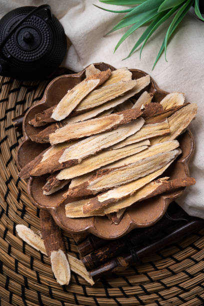 medicina herbal china raíz de astrágalo. - astragalus chinese medicine root plants fotografías e imágenes de stock