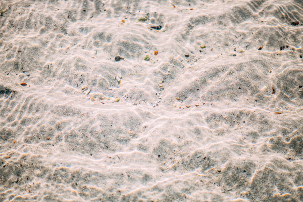White Sands in the Clear Sea