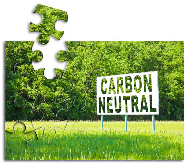 istock CO2 Carbon Neutral concept against an advertising billboard immersed in nature - solutions concept in jigsaw puzzle shape 1352831063