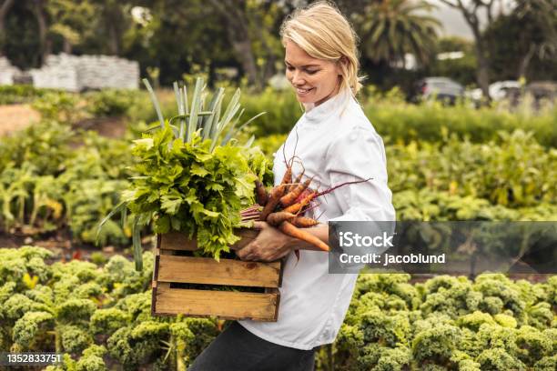 Cheerful Female Chef Carrying Fresh Vegetables On A Farm Stock Photo - Download Image Now