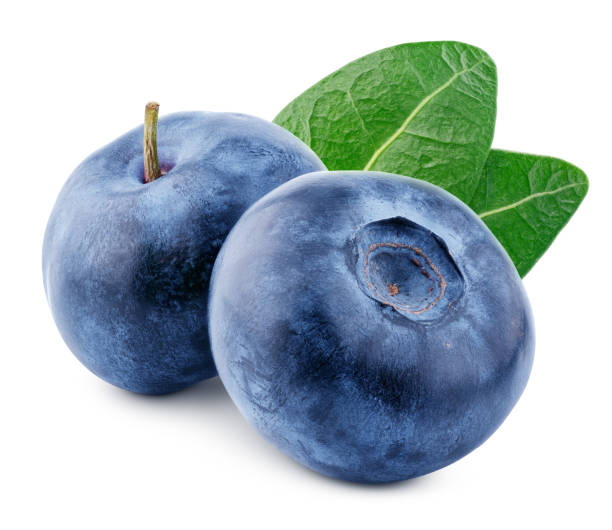 grupo de blueberry berry isolado em branco - vacínio - fotografias e filmes do acervo