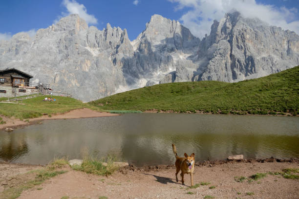 parque nacional tre cime di lavaredo dolomitas - river stones audio fotografías e imágenes de stock