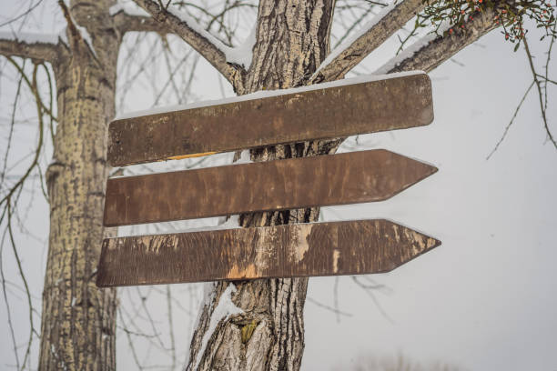 istock Wooden direction sign with snow on it and with snowfall on background 1352840408