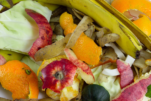 Organic waste from vegetables and fruits. Garbage for composting. Peels and cobs from organics