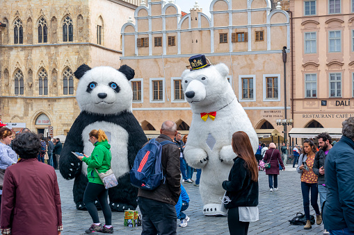 Prague, Czech Republic - May 2019: Panda and polar bears on Old town square