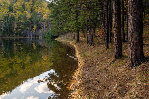 istock Nature of Siberia 1352842879