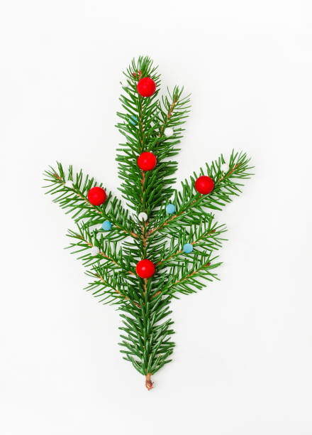 istock spruce branch with red balls on white background 1352843106
