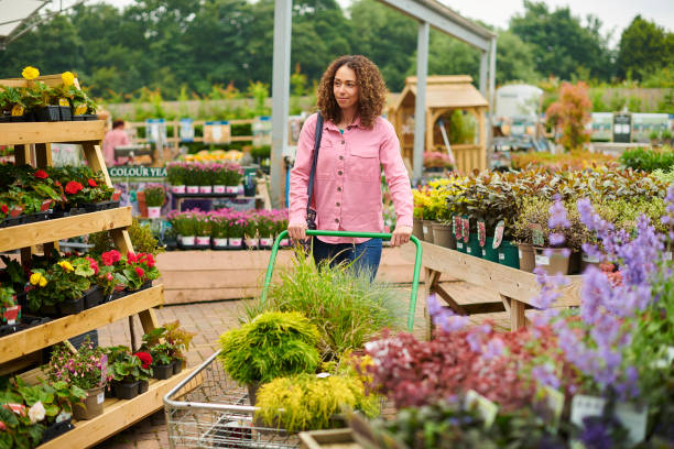 garden center shopper - garden center flower women plant imagens e fotografias de stock