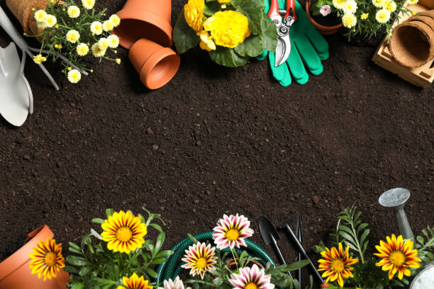 istock Flat lay composition with gardening equipment and flowers on soil, space for text 1352844068