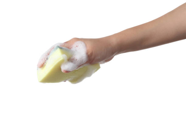 istock Hand holding cleaning sponge isolated on white background 1352844571
