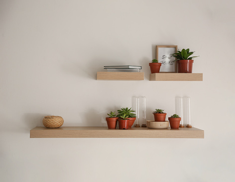 Wooden shelves with beautiful plants and different decorative elements on light wall