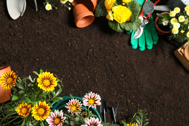 istock Flat lay composition with gardening equipment and flowers on soil, space for text 1352847356