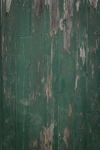 Wooden fence painted a green color.