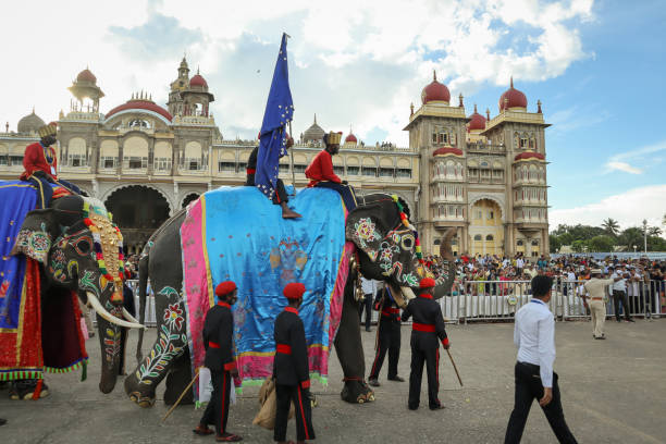 un saludo habitual de un elefante real a la gente durante el desfile de dasara en el palacio de mysore en karnataka, india. - mysore fotografías e imágenes de stock