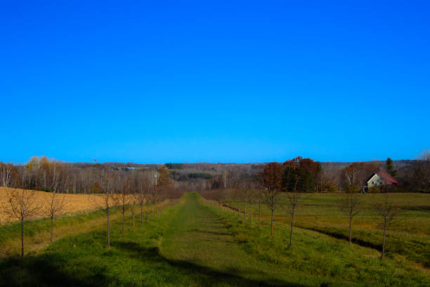 istock Countryside landscape with farm 1352851098