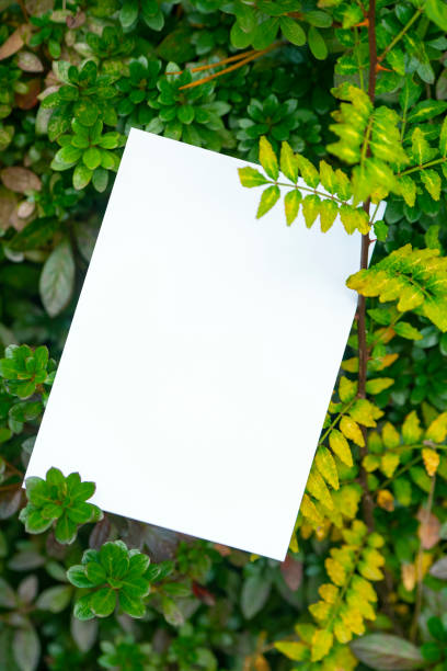 istock Green nature and card Mock-up 1352852222