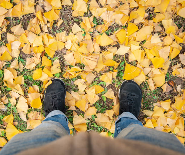 istock Men Standing on the Autumn Leaves 1352855349