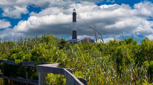 Looking though the tall beach grass from the boardwalk on the bay side at the Fire Island Lighthouse with clouds in the background.
