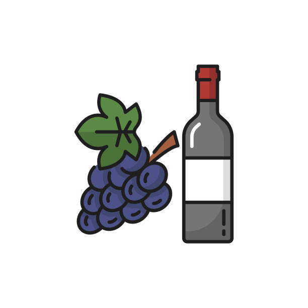 ilustrações, clipart, desenhos animados e ícones de suíça bebe em garrafa de vinho, monte de uvas - bottle bordeaux green wine