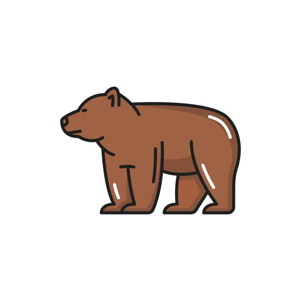 berner bär braun schweizer tier isoliert liniensymbol - polar bear young animal isolated cub stock-grafiken, -clipart, -cartoons und -symbole