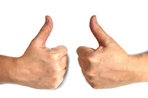 istock Two thumbs up, fingers sign, isolated on white background 1352860116