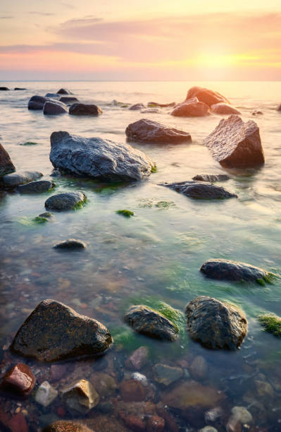 istock Rocky Baltic Sea beach at sunset. 1352860662